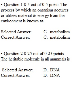 Lecture Quiz 1